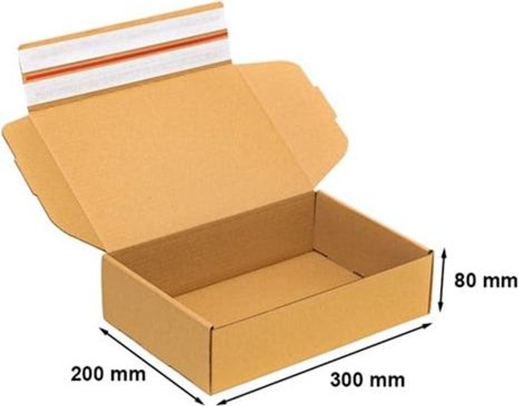 Karton Stanzform Kartonbox Karton 300 x 200 x 80 mm B320 F427