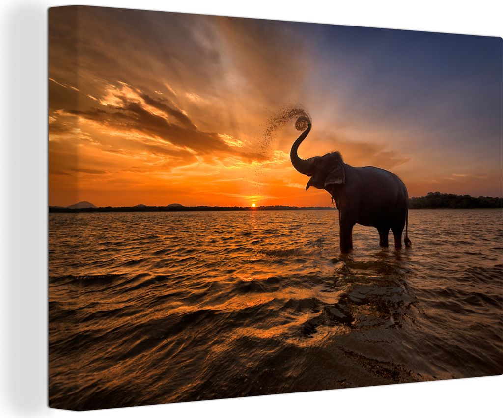 OneMillionCanvasses - Leinwandbilder - 140x90 cm, Elefant - Meer - Tiere - Sonnenuntergang - Orange, Wandbilder Kunstdruck Wanddekoration - Foto ...