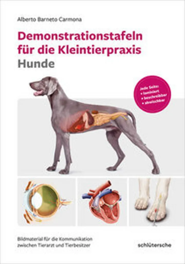 Atlas anatomique du chien : Planches didactiques pour vétérinaire
