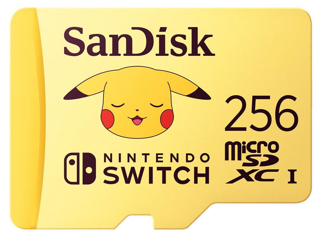 SanDisk - Tarjeta de memoria flash - 256 GB - Clase de Imagen del producto 