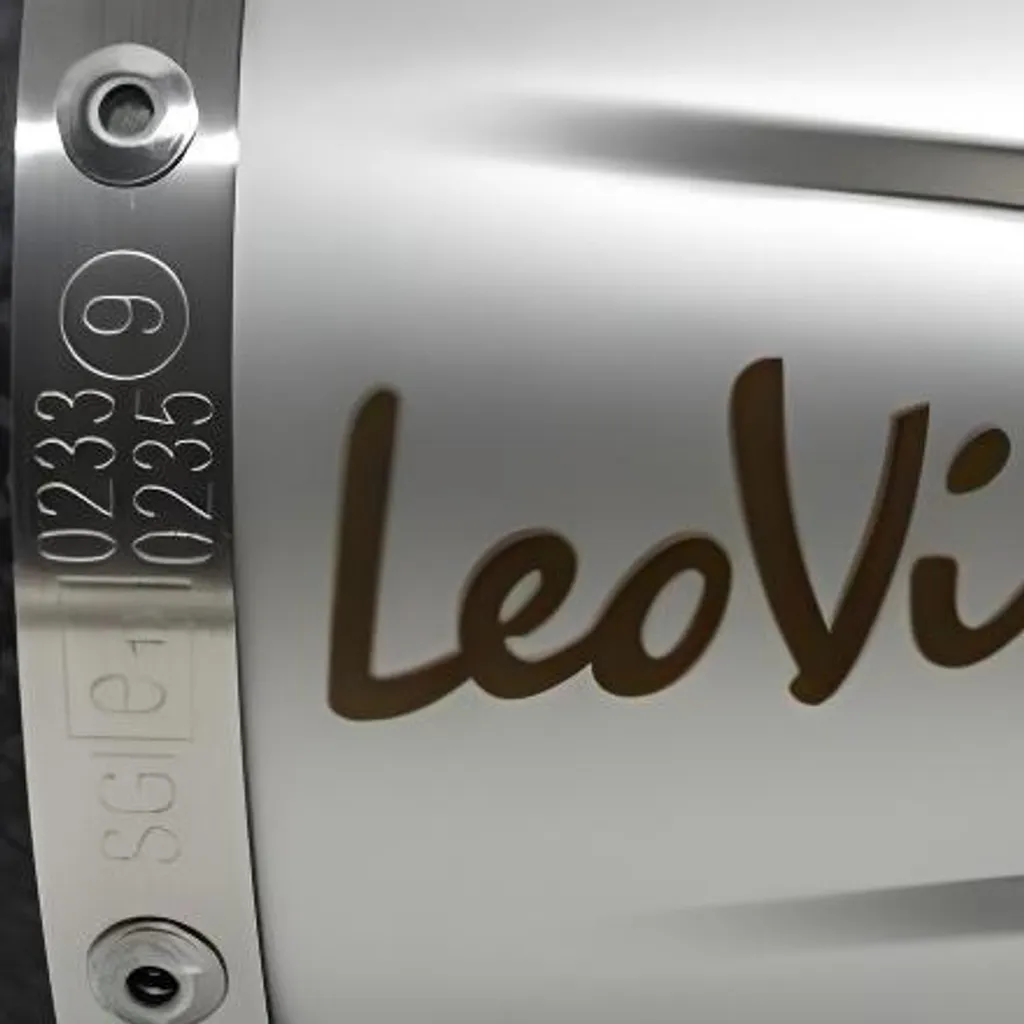 Pièce Silencieux LeoVince 54mm pour Réparation Échappement EVO 0235