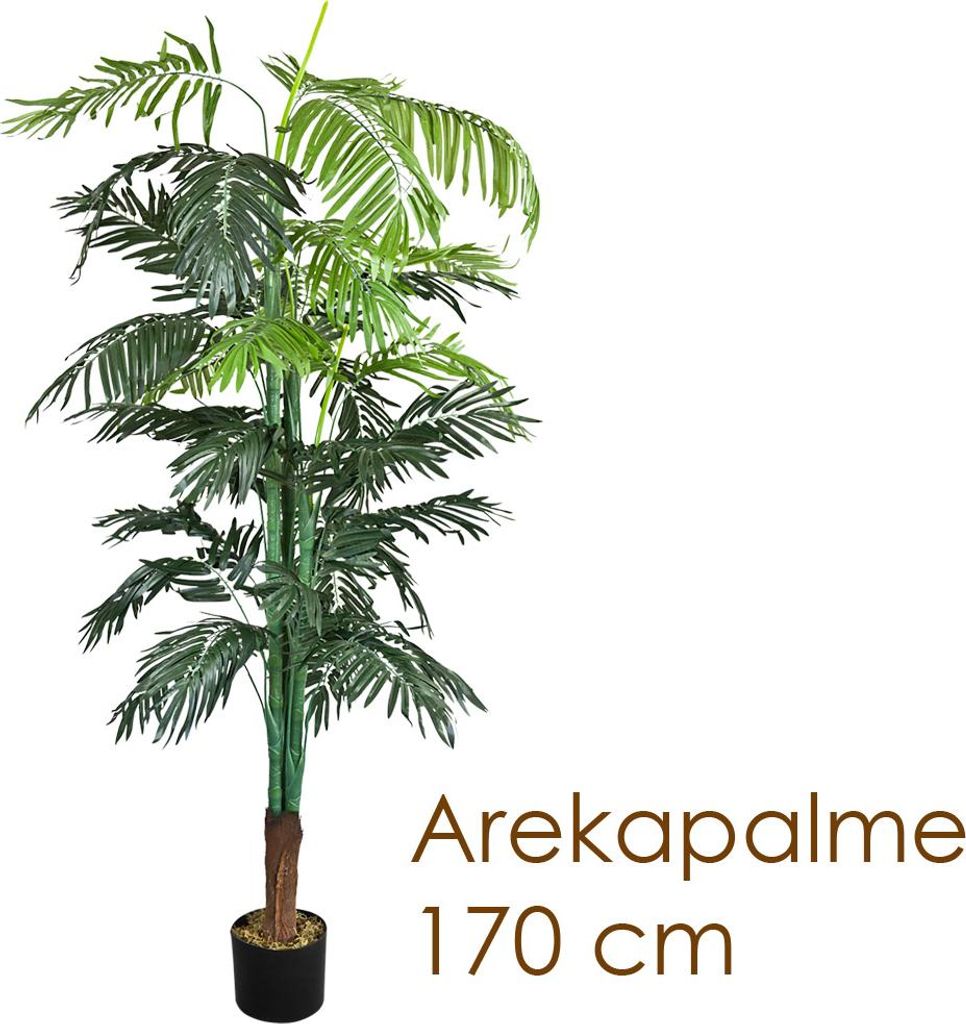 Palmizio Palma Areca Pianta Albero Artificiale 170cm Immagine del prodotto 