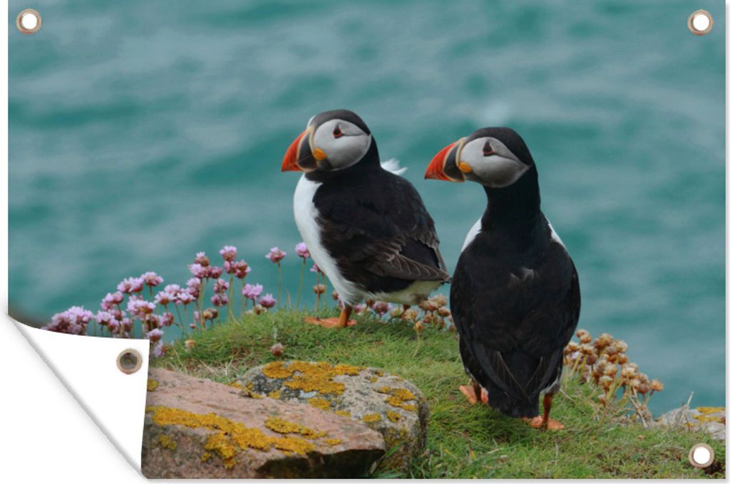 MuchoWow 90x60 cm Outdoor-Poster Gartendeko Sichtschutz Garten Poster für den Garten Zwei Papageientaucher auf den Klippen am Meer