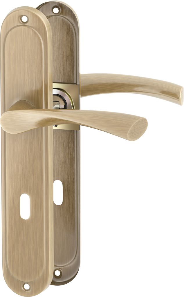 A pair of bronze door handles with backplates, presented against a white background.