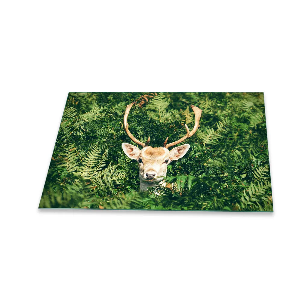 Piastra di copertura per piano cottura in ceramica 1 pezzo 80x52 animali verde copertura alzatina in vetro