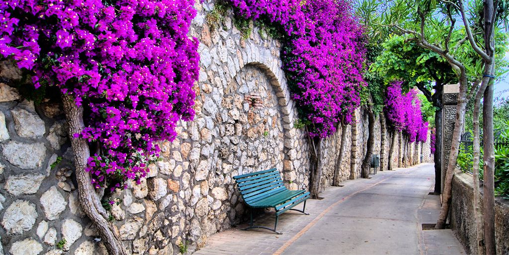 Tulup Leinwandbild -100x50 cm - Wandkunst - Drucke auf Leinwand - Leinwanddruck - Sehenswürdigkeiten & Architektur - Lila - Reizende Gassen