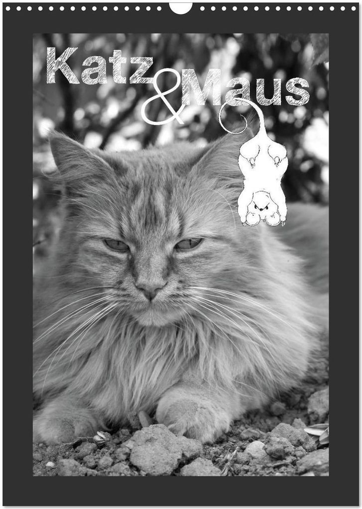 Katz & Maus (Wandkalender 2026 DIN A3 hoch), CALVENDO Monatskalender