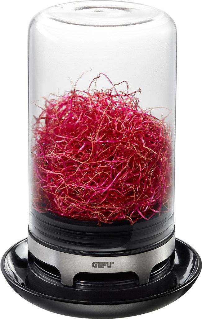 Sprossenglas BIVITA® Produktbild 
