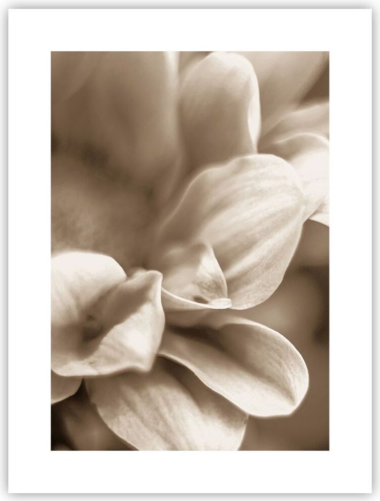 Poster - Poster ohne Rahmen - Blumen Boho ohne - 30x40 cm - Wand Bild - Wanddeko - Wandbilder - Kunstposter - Wandposter - Bilder - Kunstdruck - Wa...