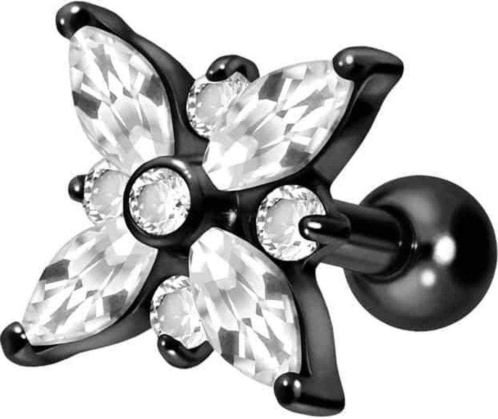 Ohrpiercing Titan Ohrpiercing mit Innengewinde KRISTALLSTERN Schwarz Stablänge: 6mm