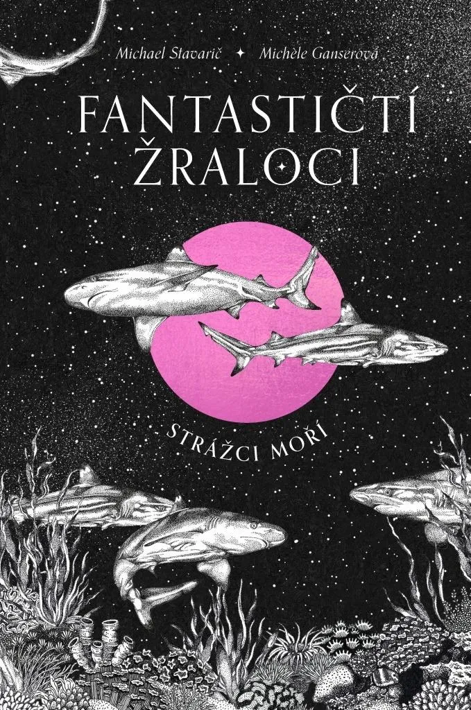 Fantastičtí žraloci par Michael Stavarič : Livre éducatif sur les requins