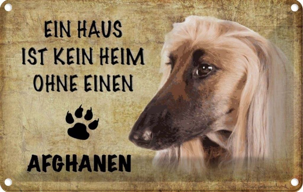 vianmo Blechschild 12x18 cm Afghanen Hund ohne kein Heim Tier Haustier