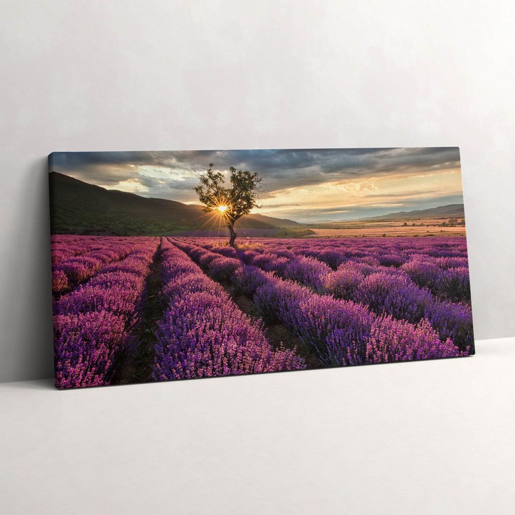 Lavendelfeld-Landschaft – Leinwandbild Wandbild – 140x70 cm – Leinwandbilder – Wandbilder – Schlafzimmer – Flur