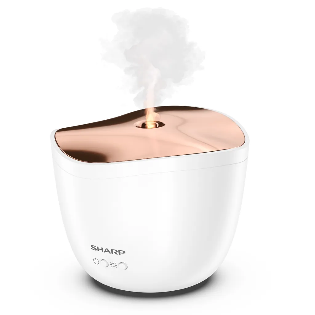 Diffuseur d'air Sharp DF-A1E-W : finissez-en avec l'air sec et vicié - 2