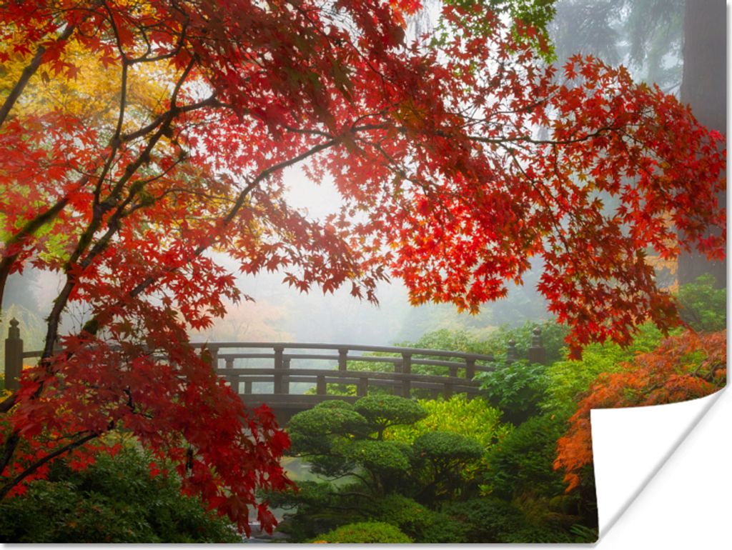 MuchoWow Poster Japanischer Ahorn - Bäume - Brücke - Natur - Japanisch 80x60 cm - Kunst für zu Hause