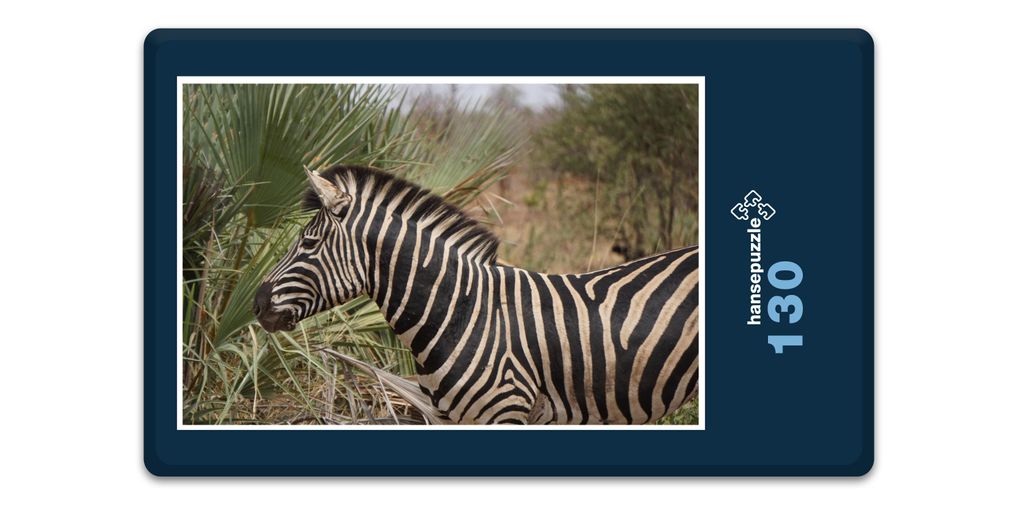 hansepuzzle 18282 - Zebra Puzzle, 130 Teile, Natur, 28,7 x 20,0cm mit hochwertiger Aufbewahrung, Kartonbox und wiederverschließbarem Beutel