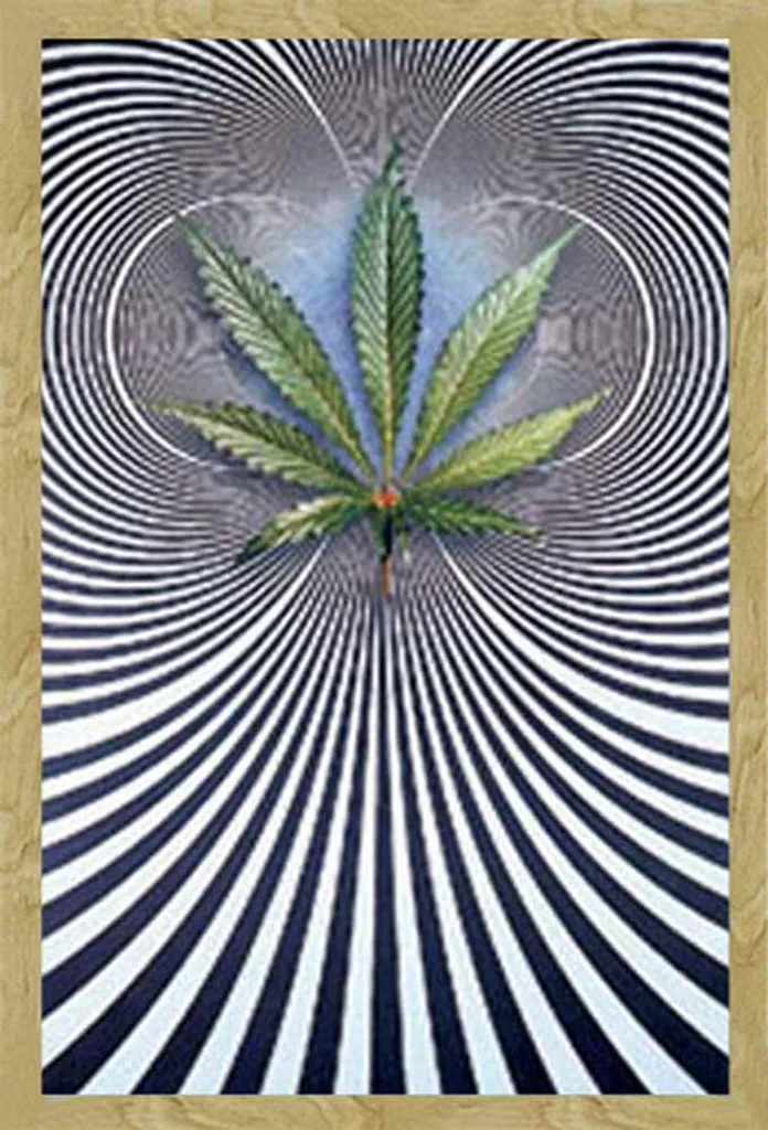 Poster Op Leaf con Cornice Shinsuke Maxi Faggio e Vetro Acrilico 61x91,5