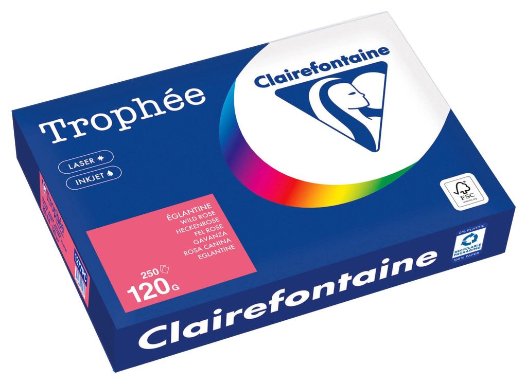 Clairefontaine Kopierpapier 1277PC A4 120g heckenrose 250Bl