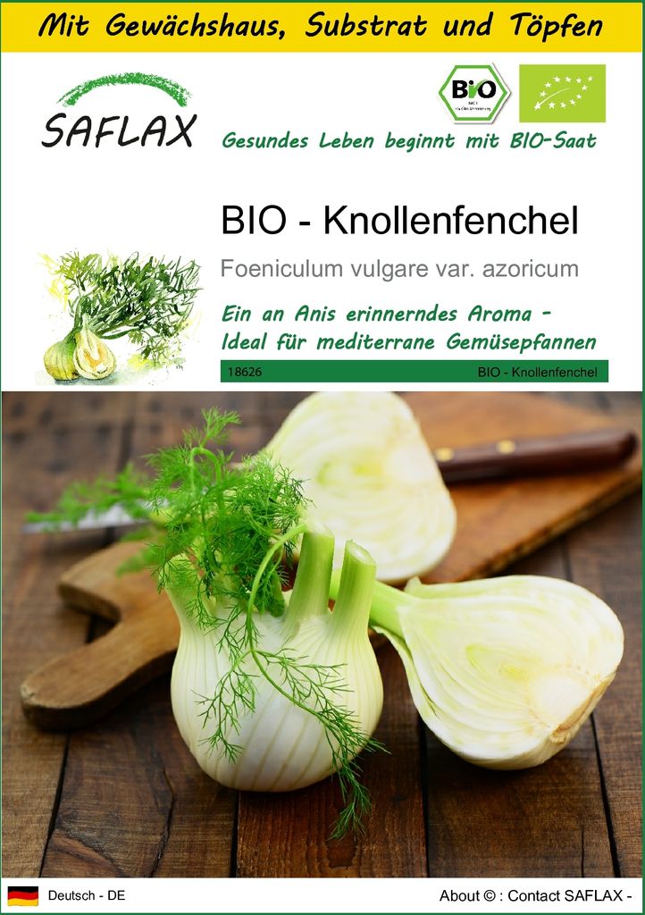 SAFLAX Anzucht Set - BIO - Knollenfenchel - Foeniculum vulgare var. azoricum - 100 Samen - Mit Mini-Gewächshaus, Anzuchtsubstrat und 2 Töpfen