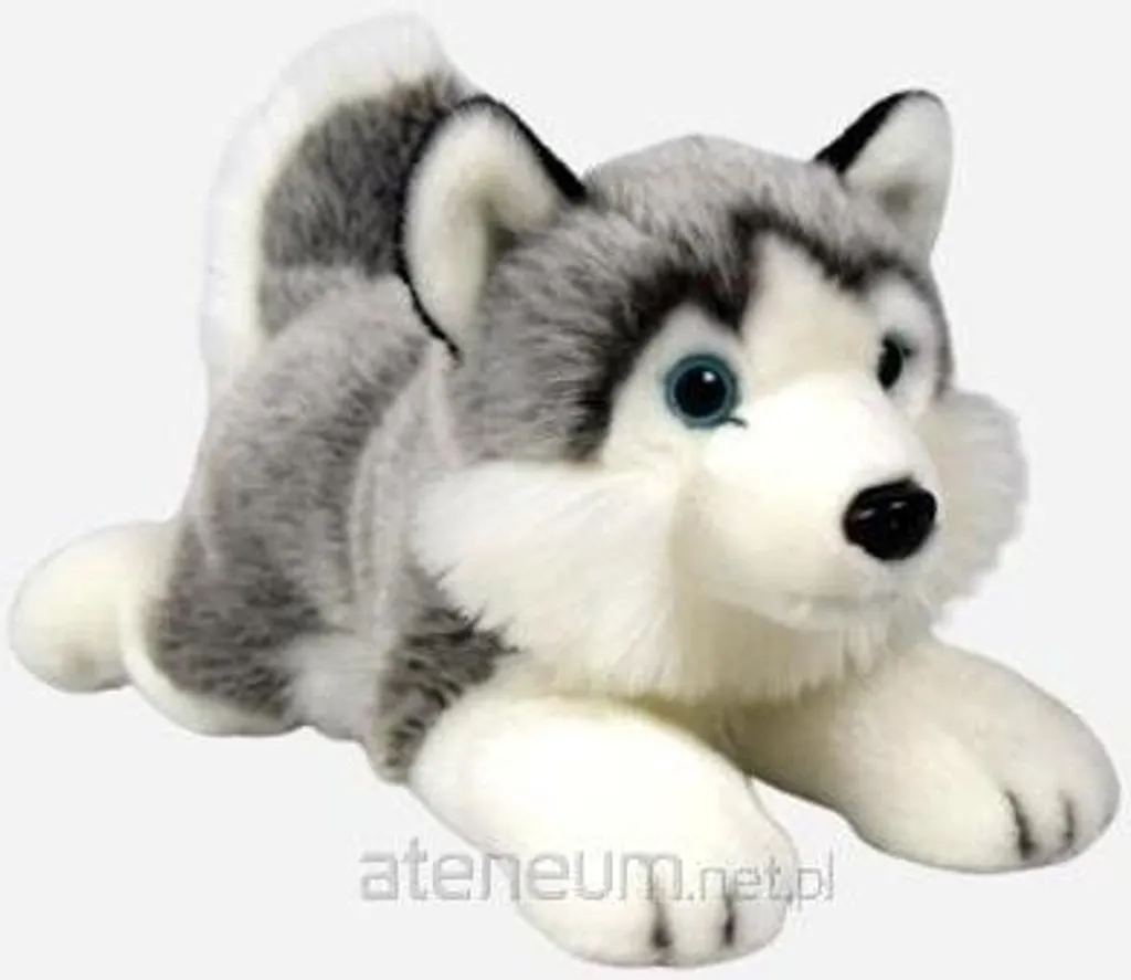 Husky en Peluche 34cm DUBI PLUSZ - Finition Premium et Fourrure Soyeuse