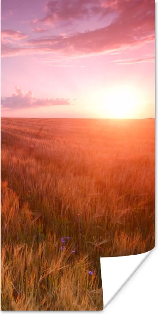 MuchoWow Poster Wiese - Sonne - Abend - Landschaft 75x150 cm - Dekoration für die Wände