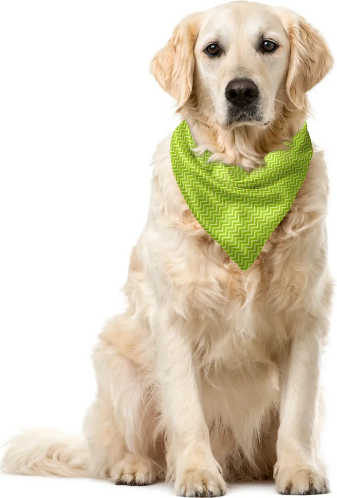 Foulard Cane ABAKUHAUS Verde Pastello Zig Zag | Qualità ABAKUHAUS 40x40