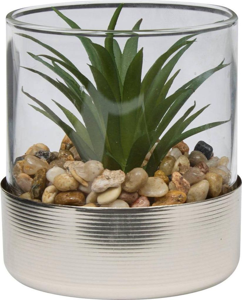 Terrarium sky 8,5x8cm - Atmosphera créateur d'intérieur