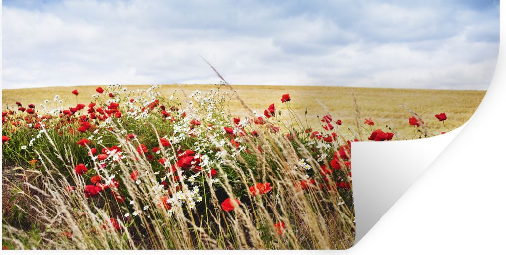 MuchoWow Wandtattoo Wandsticker Wandaufkleber Wolken - Blumen - Rot 40x20 cm Selbstklebend und Repositionierbar - Aufkleber