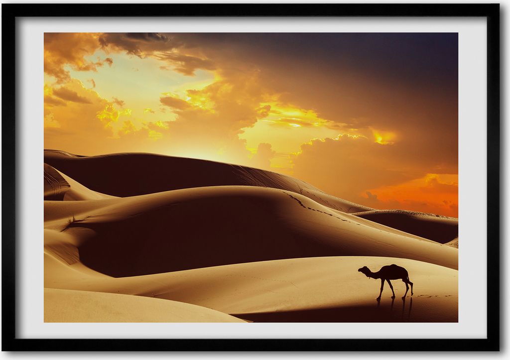 Bild - Bilderrahmen - 100 cm x 70 cm - MDF - Rahmen - Foto - Wandkunst Kamel Sahara