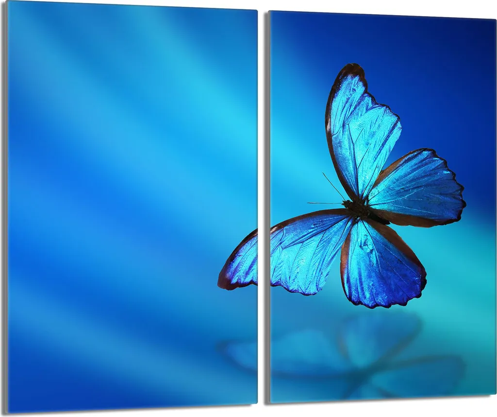 Copri Piano Cottura 2 Pezzi 30x52 Vetro Temperato Farfalla Blu