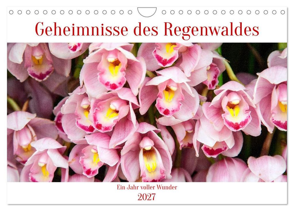 Geheimnisse des Regenwaldes (Wandkalender 2027 DIN A4 quer), CALVENDO Monatskalender