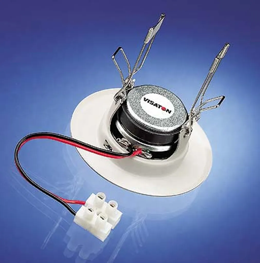 Diffuseur Audio de Plafond Visaton DL 5 8 Ohm pour Bureau et Maison - 5