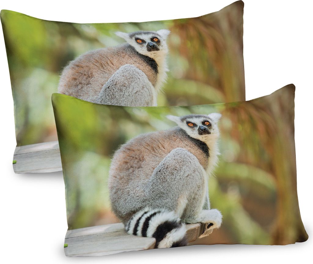 ABAKUHAUS Lemur Kissenbezug Packung mit 2, Aperture Foto von niedlichen Affen Säugetier Ring angebundene, Dekorativer Gedruckter Kissenbezug, 80x4...