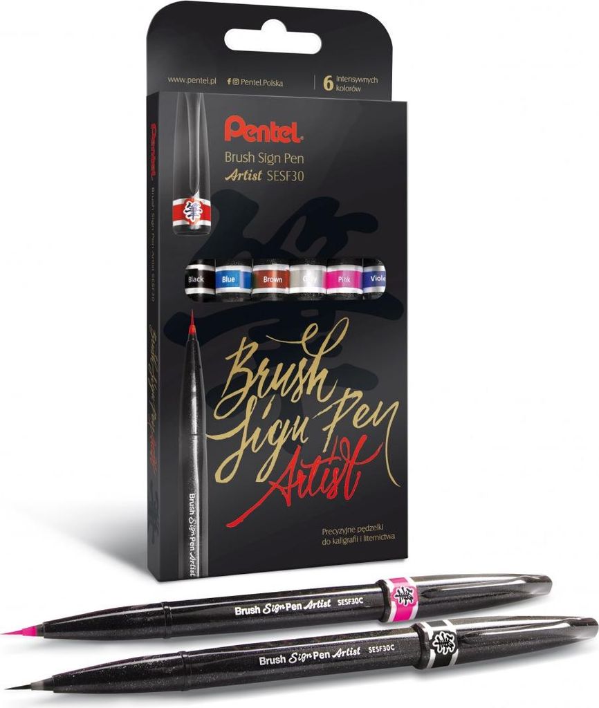Pisak Pinsel Zeichenstift Künstler Pentel SESF30C-ST6ACENPVPL
