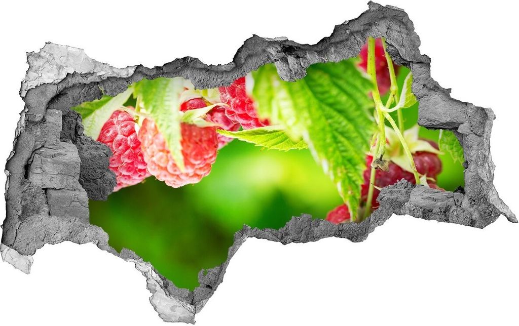 Selbstklebender Loch-3D-Aufkleber 95x73 cm Himbeeren im Garten