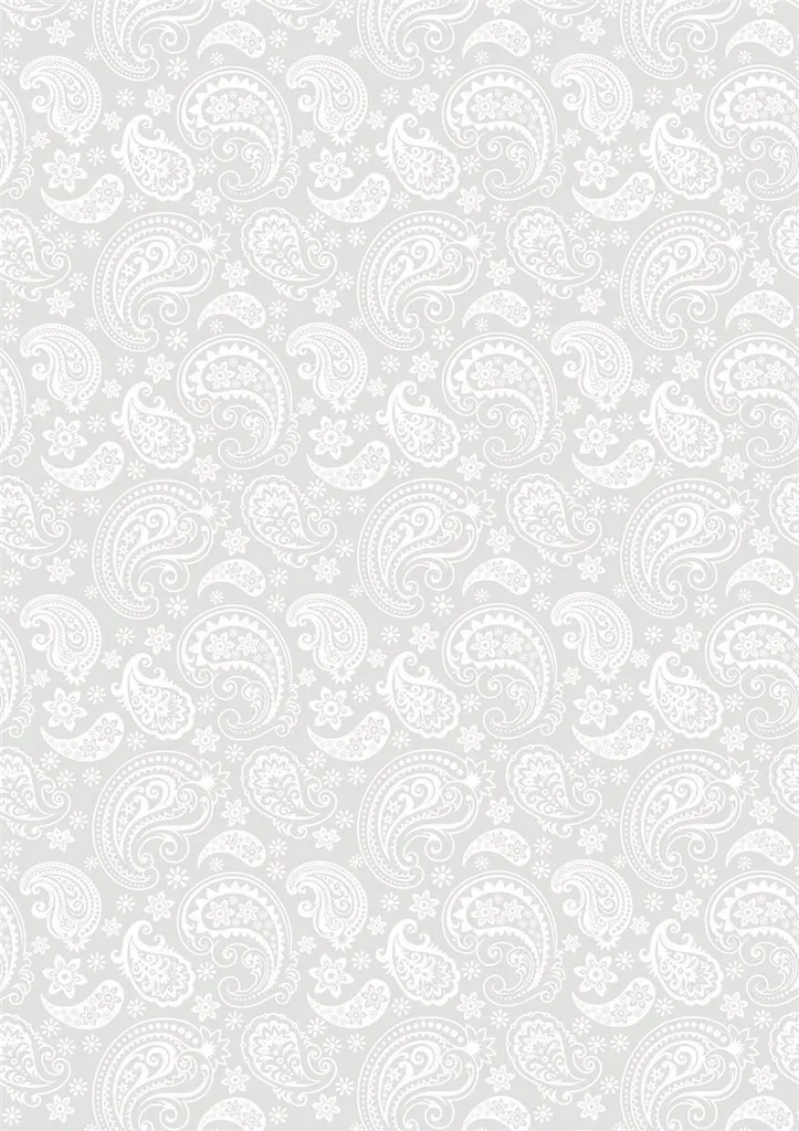 10XHeyda 204879456 Transp.50x70 Paisley