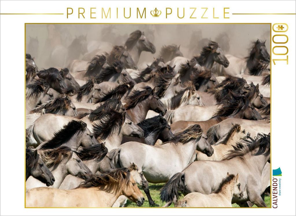 CALVENDO Puzzle Stutenherde beim Wildpferdefang | 1000 Teile Lege-Größe 64x48cm Foto-Puzzle für glückliche Stunden