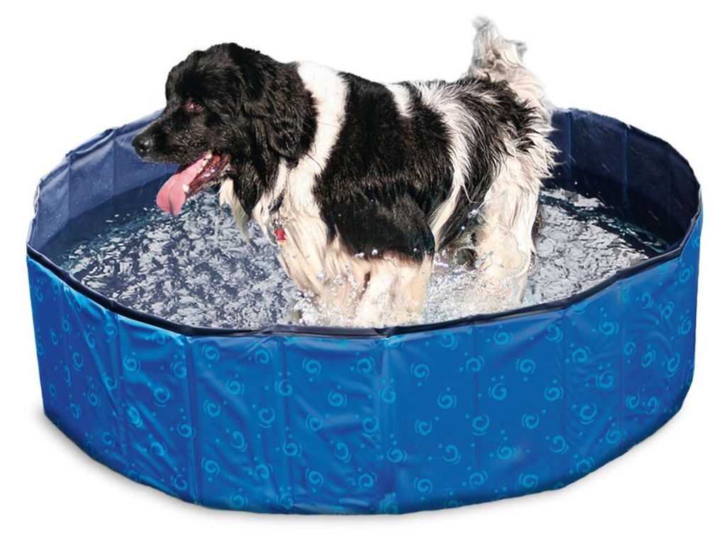 Karlie Doggy Pool blau - 160x160x30 cm Produktbild 