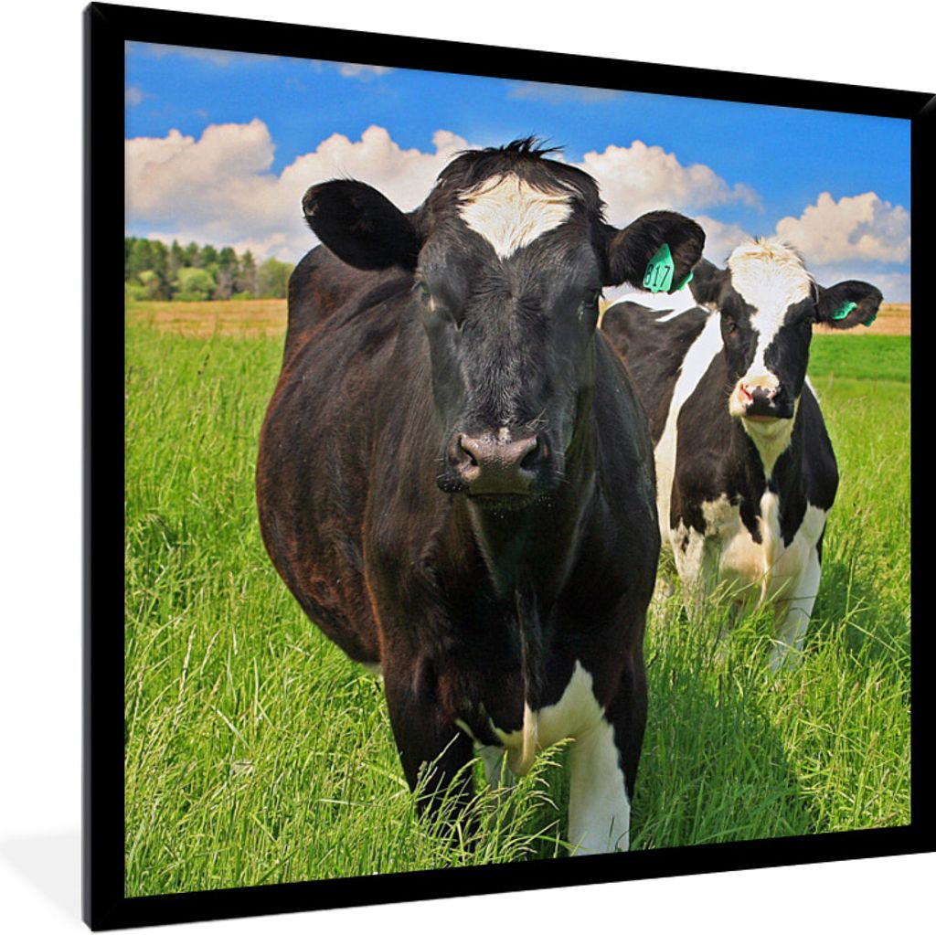 MuchoWow® Gerahmtes Poster Kühe - Gras - Natur - Tiere Produktbild 