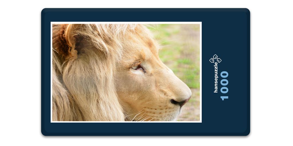 hansepuzzle 18749 - König der Tiere Puzzle, 1000 Teile, Tierwelt, 60,0 x 46,0cm mit hochwertiger Aufbewahrung, Kartonbox & Beutel