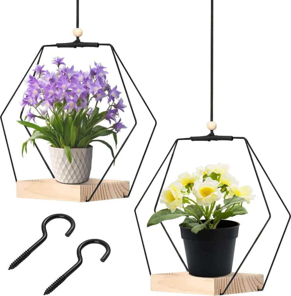 Porte-plante Mural Géométrique en Bois et Métal - Décoration Lot de 2