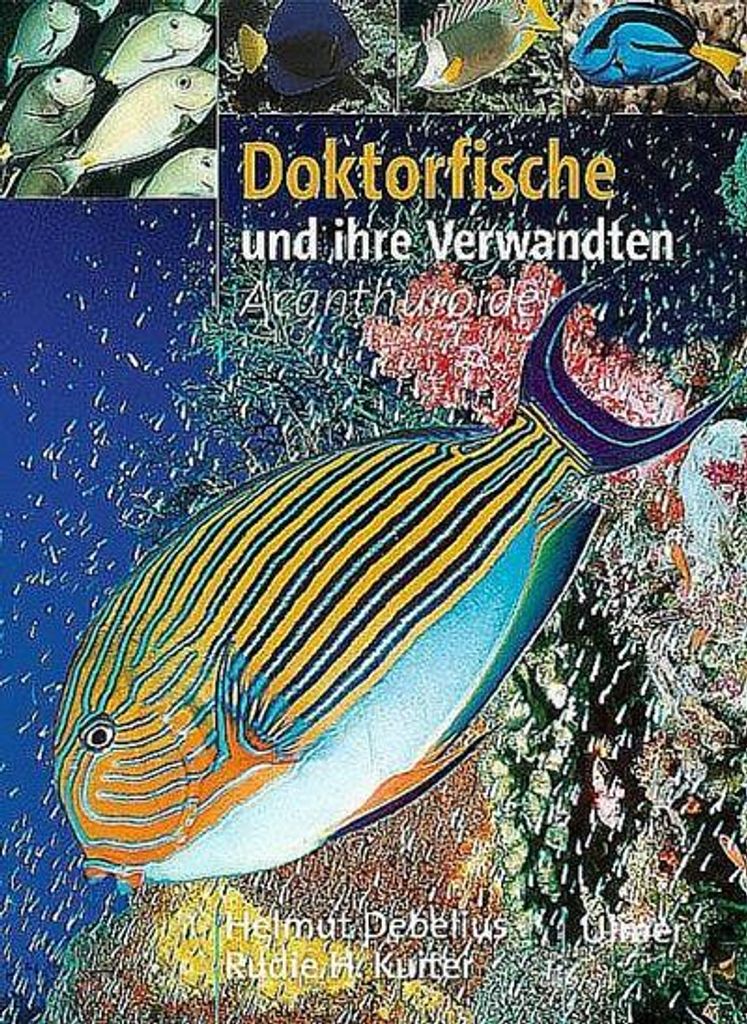 Doktorfische und ihre Verwandten. - Acanthuroidei