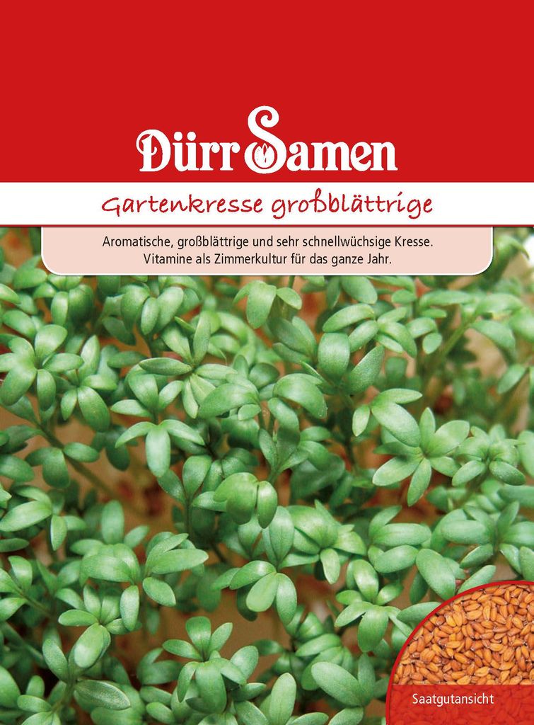 Artikelbild 1 von 'Gartenkresse großblättrig' aus der Kategorie Kressesamen