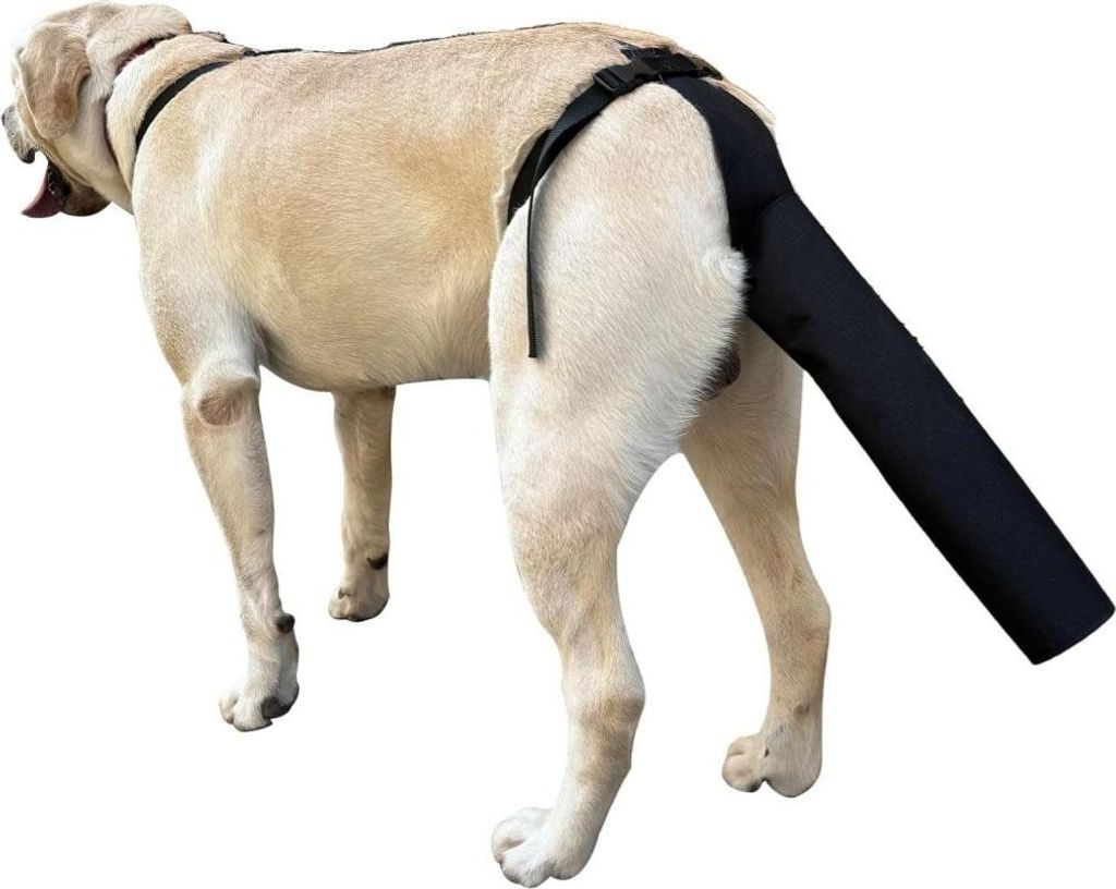 INF Protection Réglable Queue de Chien - Soin des Plaies, Image du produit 