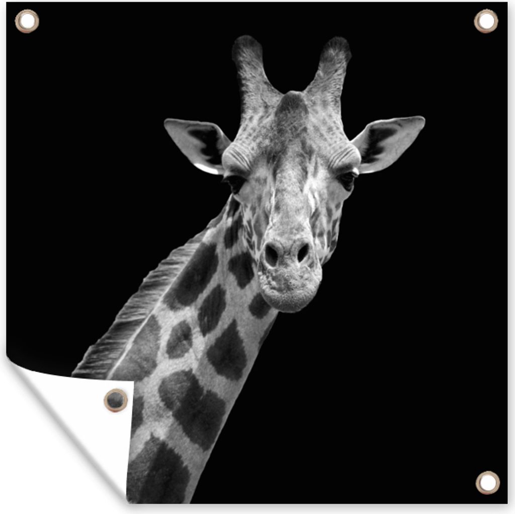 MuchoWow 50x50 cm Outdoor-Poster Gartendeko Sichtschutz Garten Poster für den Garten Giraffe - Wildtiere - Schwarz-Weiß - Porträt