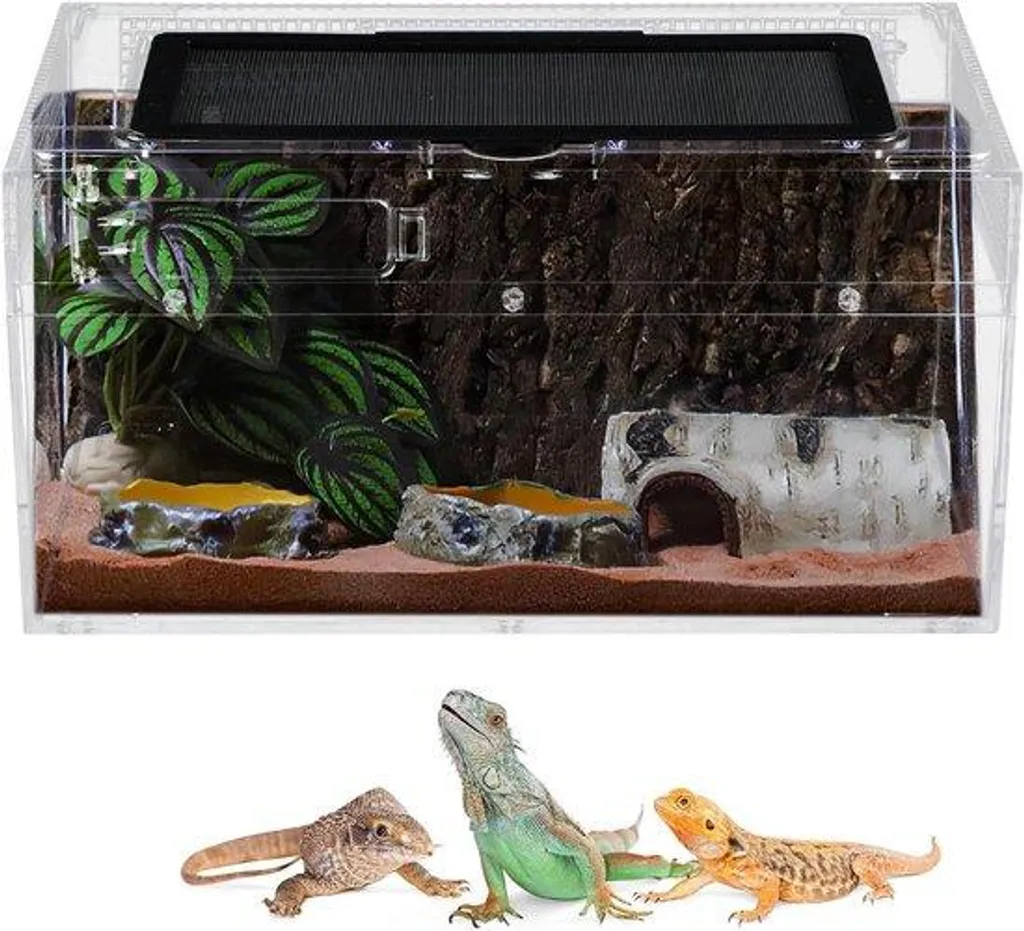 Terrarium reptiles anti-évasion en acrylique - Format compact 30 cm