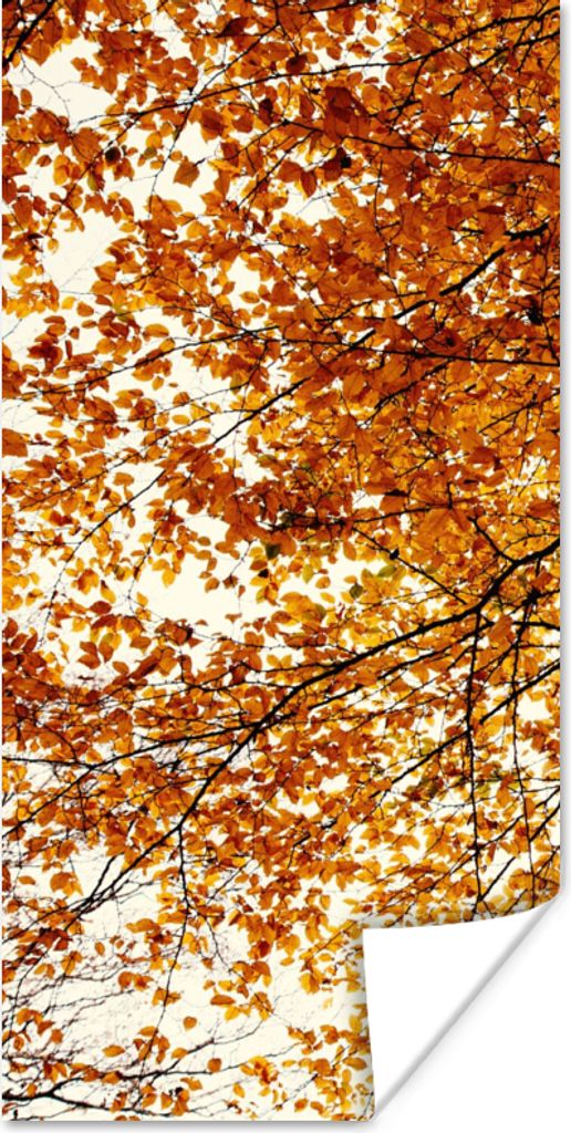 MuchoWow Poster Baum - Herbstblätter - Jahreszeiten - Rustikal 20x40 cm - Plakat - Foto