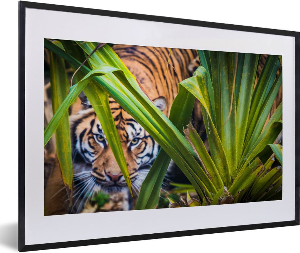 MuchoWow® MuchoWow® Gerahmtes Poster Versteckter Produktbild 