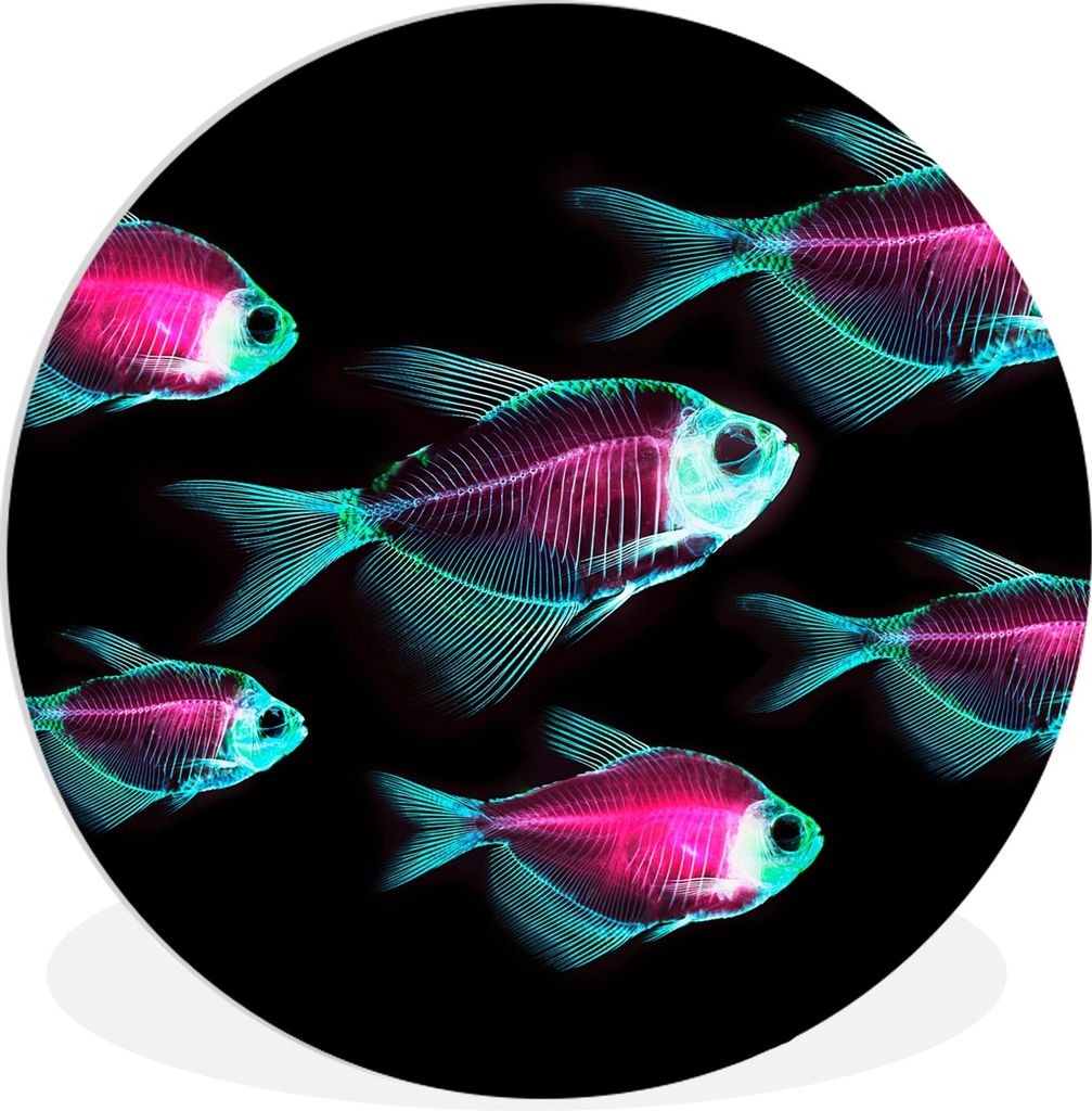 MuchoWow Rundes Wandbild - Runde Bilder Fisch - Lila - Blau Ø 30 cm Kreis Wanddekoration Kunststoff - Wandkreis - Wandschmuck - Schlafzimmer - B...