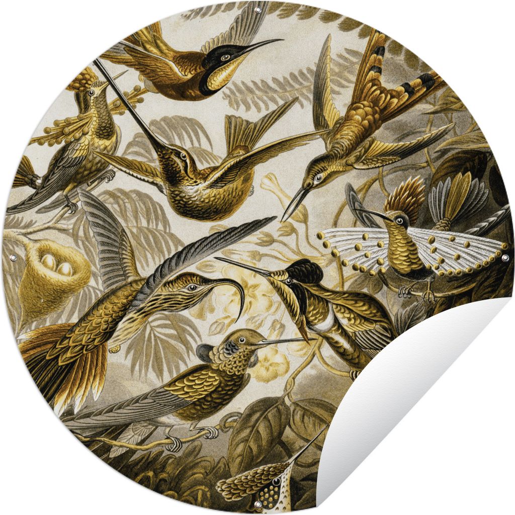 MuchoWow Gartenposter Outdoor-Poster Rund Trochilidae - Ernst Haeckel - Gold Ø 90 cm Gartendeko Rundes Poster draußen